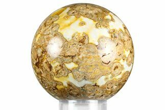 Polished Fossil Stromatolite Sphere - Green River Formation #369855