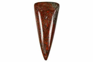Polished Dinosaur Bone (Gembone) Cabochon - Colorado #370714