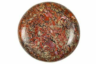 Polished Dinosaur Bone (Gembone) Cabochon - Colorado #370749
