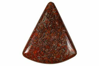Polished Dinosaur Bone (Gembone) Cabochon - Colorado #370763