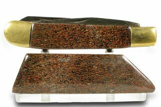 Pocket Knife with Fossil Dinosaur Bone Inlays & Base #370785