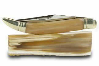 Pocket Knife with Petrified Wood Inlays & Matching Base #370792