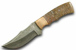Damascus Steel Knife w/ Fossil Dinosaur Bone (Gembone) Inlays #370840