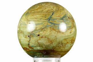 Gary Green Jasper (Larsonite) Bog Wood Sphere - Oregon #370912