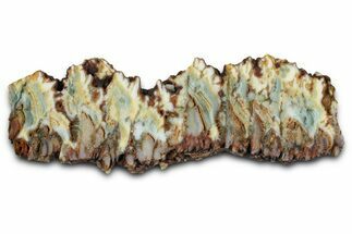 Polished Gabbs Valley Seam Agate Slab - Nevada #371177