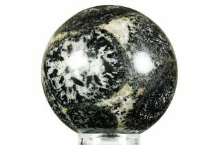 Buy Orbicular Granite