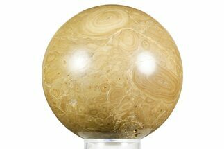 Polished Bird's Eye Jasper (Rhyolite) Sphere - Utah #371224