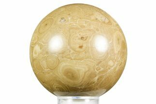 Polished Bird's Eye Jasper (Rhyolite) Sphere - Utah #371225