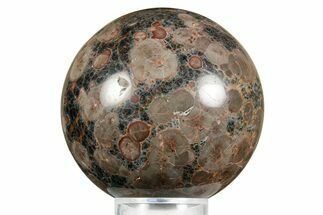 Polished Orbicular Rhyolite (Peanut Obsidian) Sphere - Mexico #371236