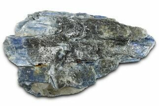 Vibrant Blue Kyanite Crystals and Staurolite In Quartz - Brazil #368805