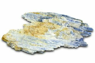 Vibrant Blue Kyanite Crystals In Quartz - Brazil #368806