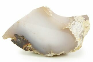 Polished Agate Replaced Petrified Wood Limb Cast - Nevada #371208
