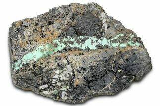 Polished Turquoise in Matrix Slab - Nevada #371564
