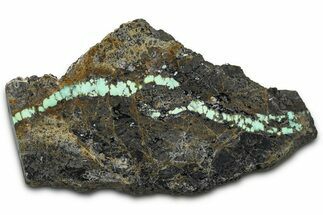 Polished Turquoise in Matrix Slab - Nevada #371566