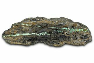 Polished Turquoise in Matrix Slab - Nevada #371570