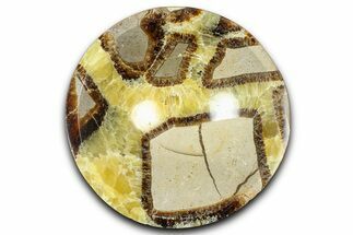 Eye-Eatching Polished Septarian Dish - Madagascar #371708