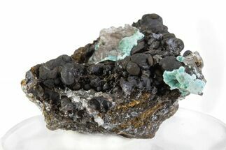 Calcite and Rosasite on Botryoidal Goethite - Mexico #371879