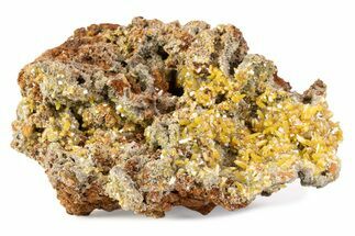 Wulfenite & Green Botryoidal Mimetite Association - Mexico #372088