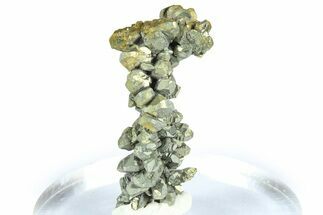 Glistening Marcasite Crystal Stalactite - Linwood Mine, Iowa #372126