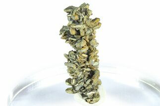 Glistening Marcasite Crystal Stalactite - Linwood Mine, Iowa #372134