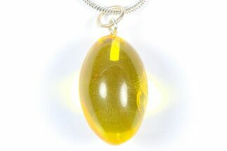 Polished Baltic Amber Pendant (Necklace) - Contains Fly! #368892