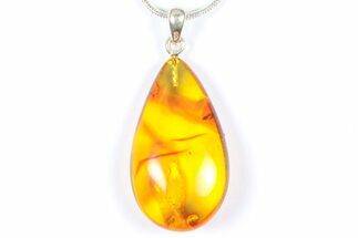 Polished Baltic Amber Pendant (Necklace) - Contains Beetle! #368904