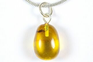 Polished Baltic Amber Pendant (Necklace) - Contains Fly! #369001