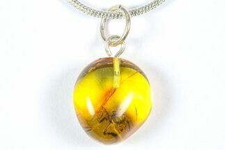 Polished Baltic Amber Pendant (Necklace) - Contains Spider! #369004
