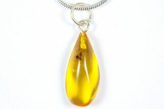 Polished Baltic Amber Pendant (Necklace) - Contains Fly! #369006