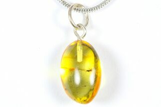 Polished Baltic Amber Pendant (Necklace) - Contains Fly! #369030