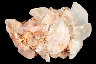 Selenite Crystal Cluster on Matrix - Naica Mine, Mexico #372180
