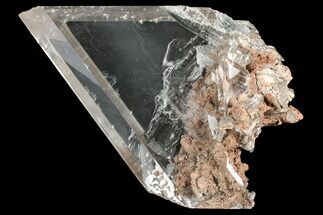 Stunning, Glassy Selenite Crystal - Naica Mine, Mexico #372137