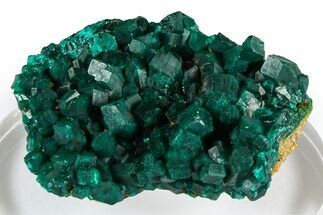 Emerald-Green Dioptase Crystal Cluster - Congo #372189
