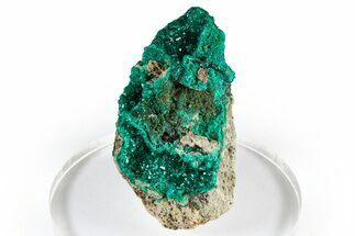 Emerald-Green Dioptase Crystal Cluster - Congo #372193