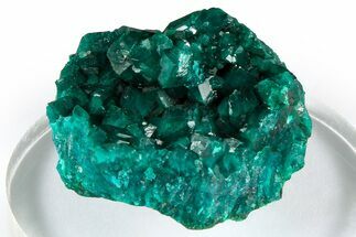 Emerald-Green Dioptase Crystal Cluster - Congo #372210