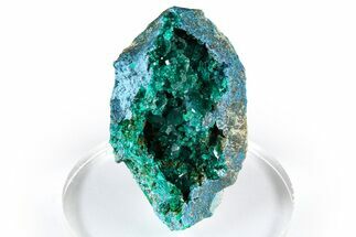 Gemmy Dioptase Crystal Cluster on Plancheite - Sanda, Congo #372226