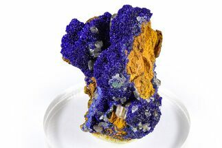 Cerussite Crystals on Sparkling Azurite - Congo #372237