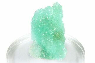 Sparkling Blue-Green Hemimorphite - Congo #372245