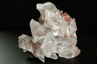 Glassy Selenite Crystal Cluster - Naica Mine, Mexico #372159