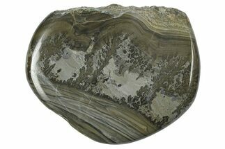 Triassic Aged Stromatolite Fossil - England #365736