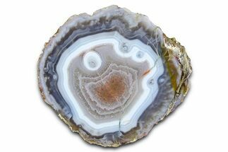 Polished Blue/Orange Banded Agate - Kerrouchen, Morocco #372672