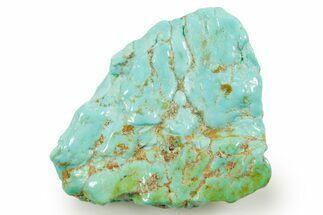 Polished Chilean Turquoise ( grams) Nugget #373196