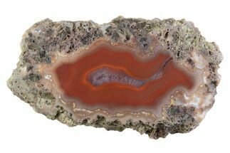 Polished Banded Agate Nodule Half - Bou Hamza, Morocco #373302