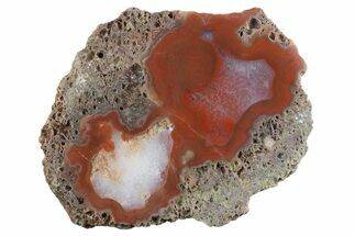 Polished Banded Agate Nodule Half - Bou Hamza, Morocco #373303