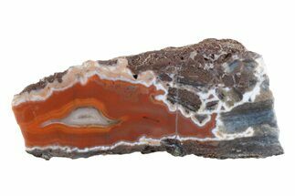 Polished Banded Agate Nodule Half - Bou Hamza, Morocco #373306