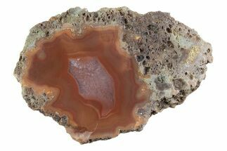 Polished Banded Agate Nodule Half - Bou Hamza, Morocco #373307