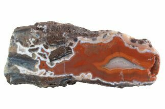 Polished Banded Agate Nodule Half - Bou Hamza, Morocco #373308