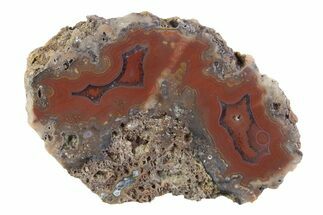 Polished Banded Agate Nodule Half - Bou Hamza, Morocco #373312