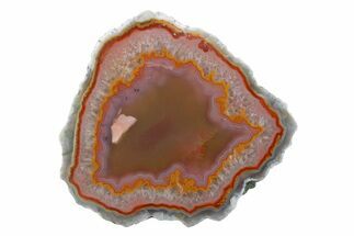 Polished Purple, Red & Orange Banded Agate - Kerrouchen, Morocco #373314