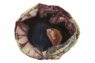 Polished Cold Mountain Thunderegg (Half) - Mexico #373348
